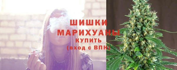 круглые Заводоуковск