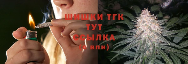 индика Заволжск