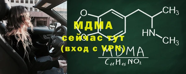 индика Радужный