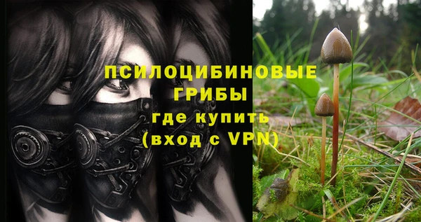 индика Заволжск