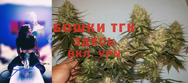 индика Заволжск