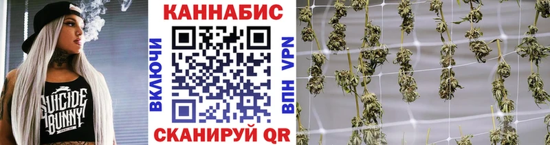 Бошки марихуана ГИДРОПОН  Рудня 